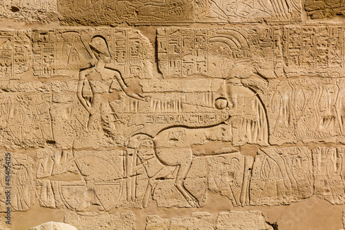 Hieroglyphs in the Karnak Temple Complex, Egypt