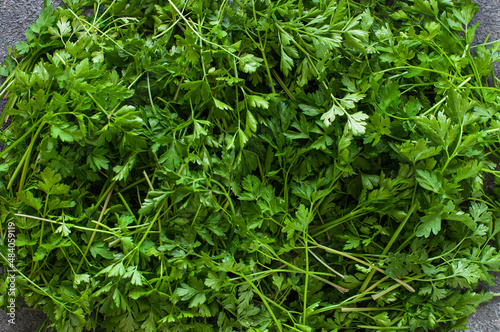 Fried doughnuts on a plate. Top view.Green fresh young parsley harvest. Top ivew.