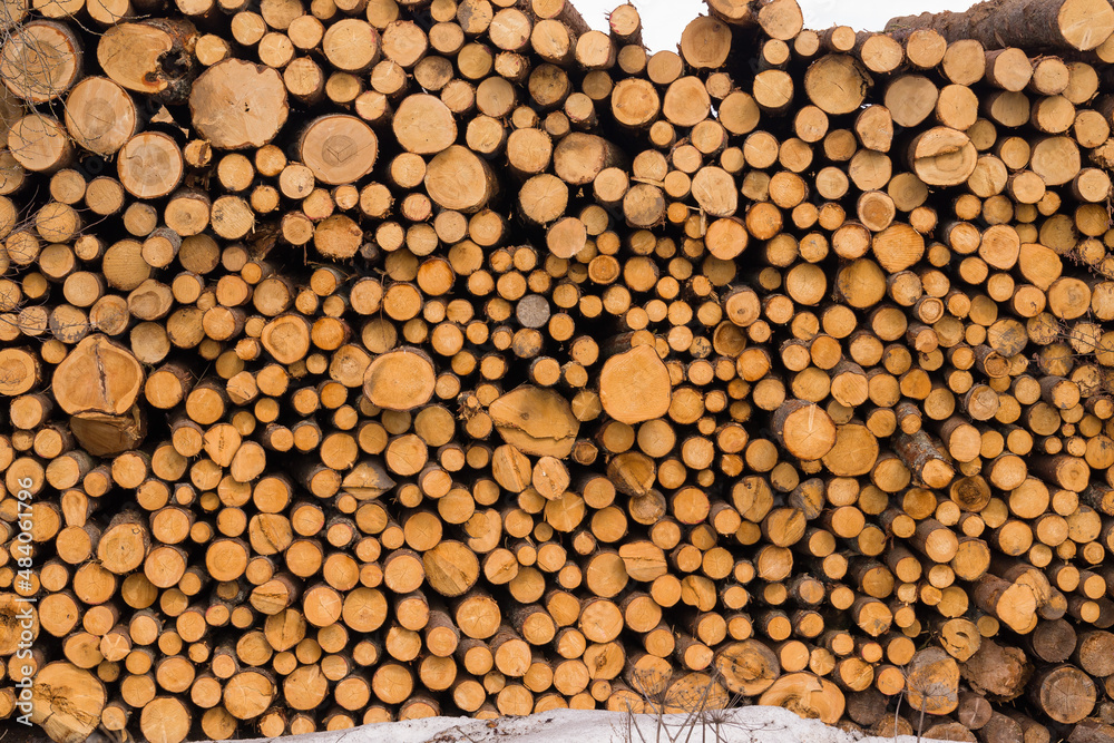 sawn trees are stacked in a heap, close-up