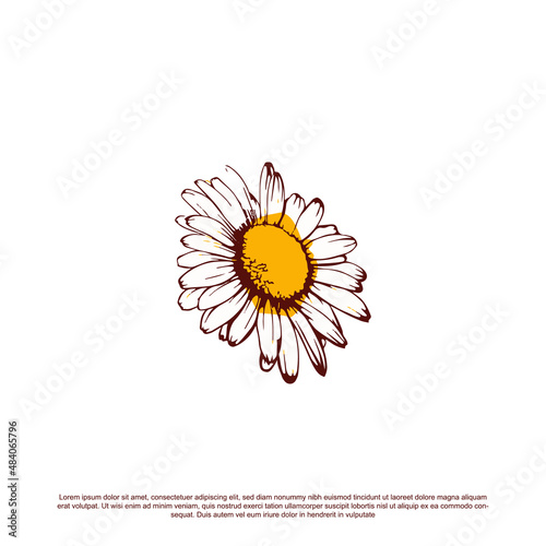 Hand drawn beautiful sunflower vector illustration