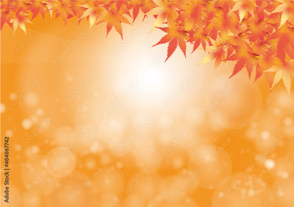 秋 秋