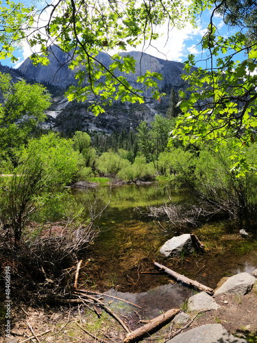 Yosemite National Park Landscape