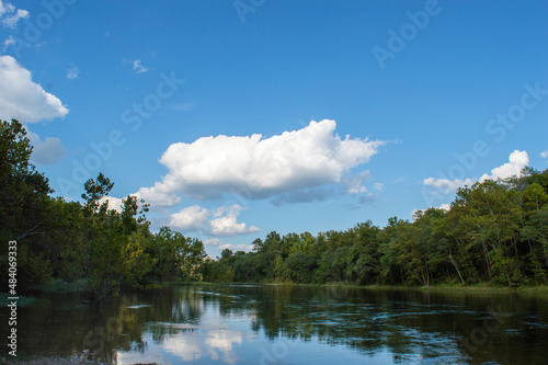 River surrounded by green trees