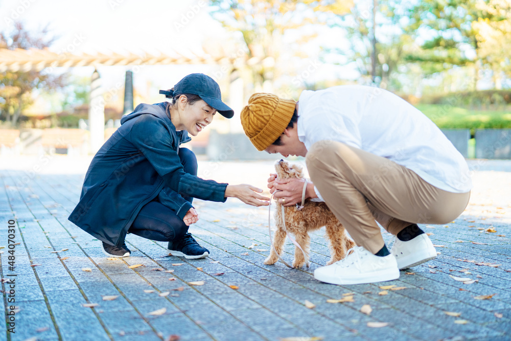 Fototapeta premium 犬の散歩中に挨拶する男女