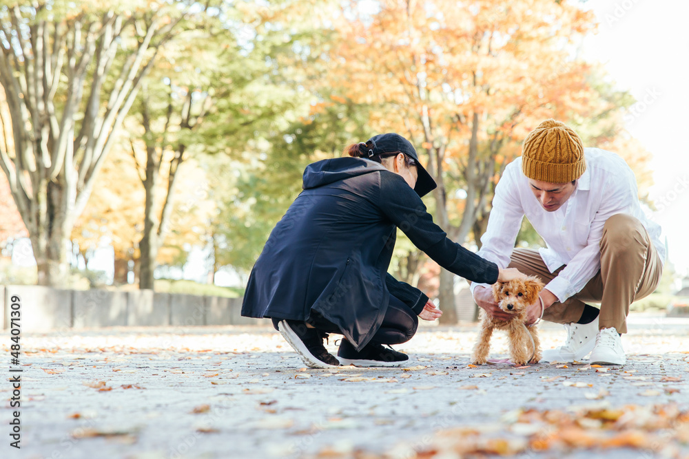 Fototapeta premium 犬の散歩中に挨拶する男女