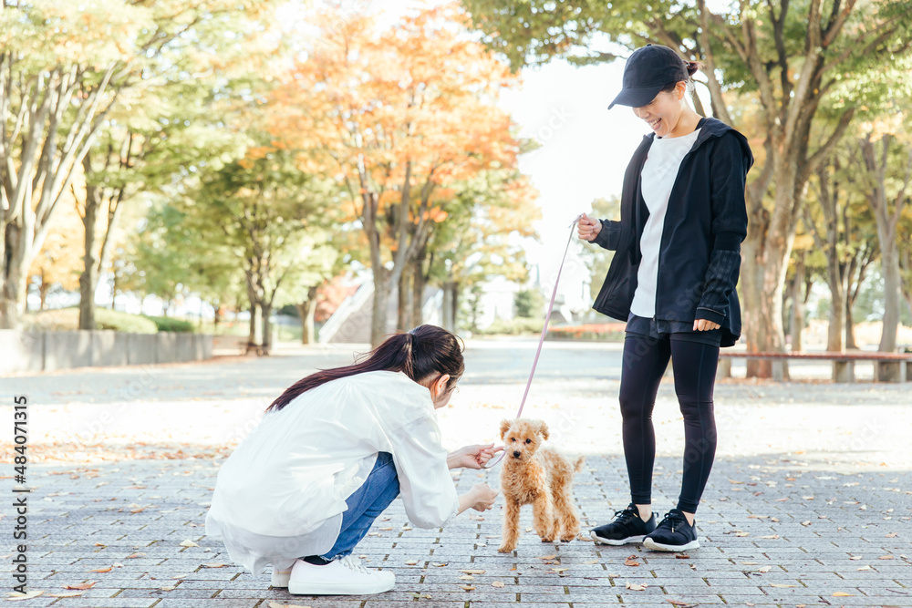 Fototapeta premium 犬の散歩中に挨拶する女性たち 