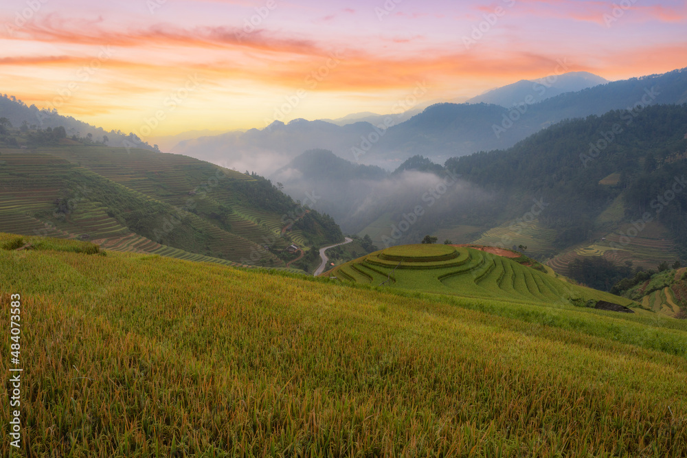 Green terraced rice fields in the rainy season at Mù Cang Chai, Vietnam.