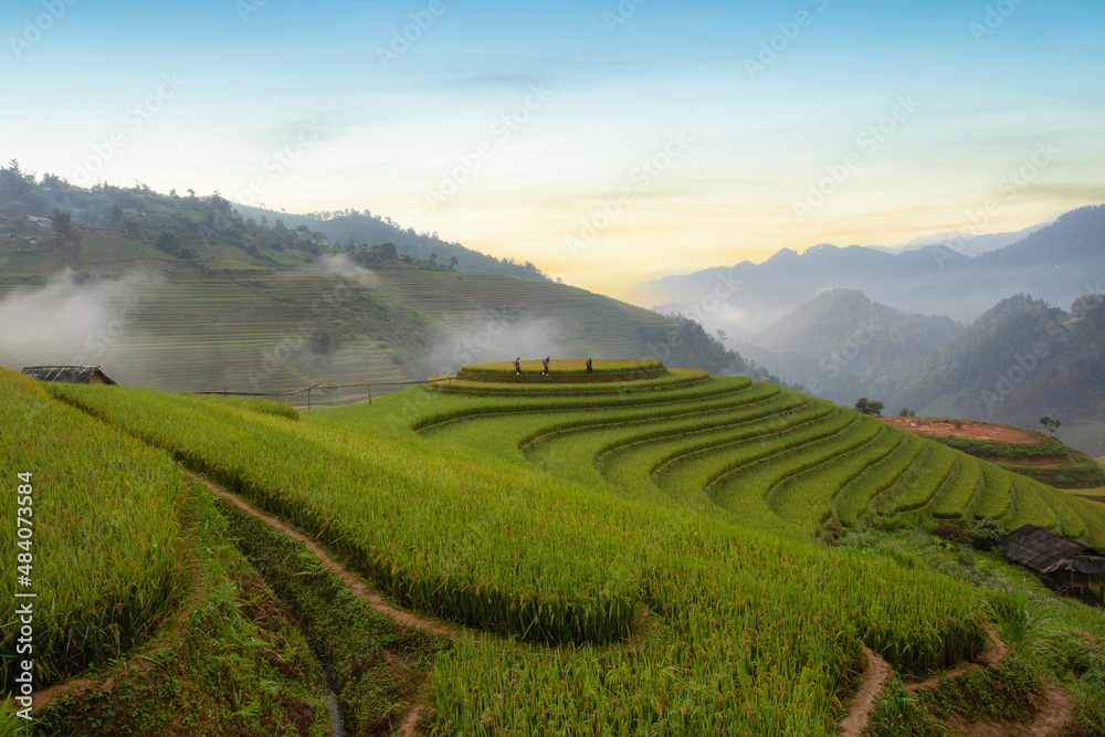 Green terraced rice fields in the rainy season at Mù Cang Chai, Vietnam. Green terraced rice fields in the rainy season at Mù Cang Chai, Vietnam.