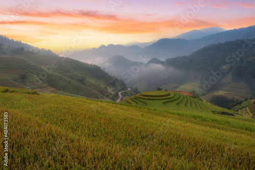 Green terraced rice fields in the rainy season at Mù Cang Chai, Vietnam.