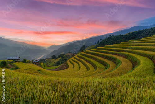 Green terraced rice fields in the rainy season at Mù Cang Chai, Vietnam.