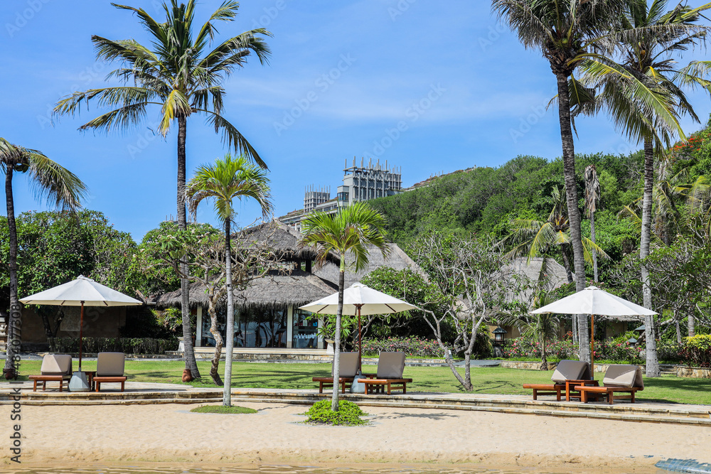 Beautiful view of luxury umbrellas and chairs around outdoor in hotels and resorts with coconut trees Beautiful view of luxury umbrellas and chairs around outdoor in hotels and resorts with coconut trees