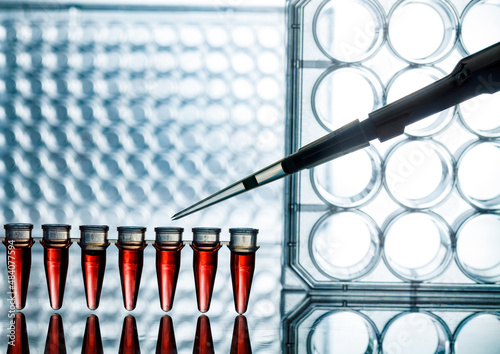 PCR microtubes and pipette in the genetic laboratory on the background of the tablets photo