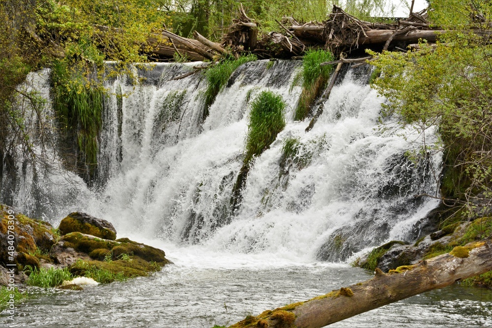 Fototapeta premium Tumwater Falls in Washington State
