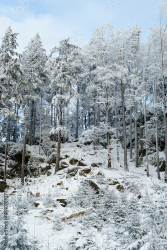 Forest in winter - Rocky and snow-covered terrain in the forest in winter