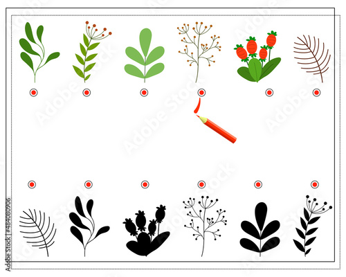 Children's logic game find the right shadow. Twigs of plants. Vector isolated on a white background
