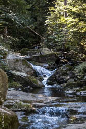 waterfall in the forest Harz Germany