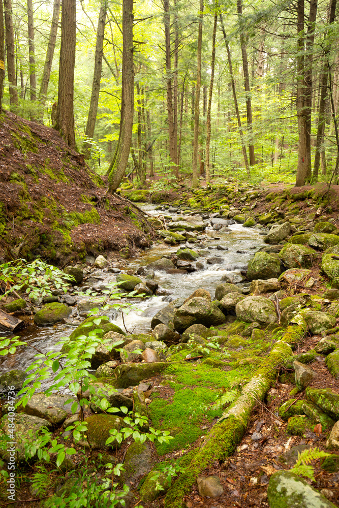 Kidder Brook flowing through dense woods in Sunapee, New Hampshire. Kidder Brook flowing through dense woods in Sunapee, New Hampshire.