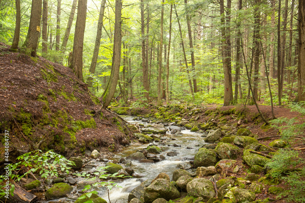 Kidder Brook flowing through dense woods in Sunapee, New Hampshire.