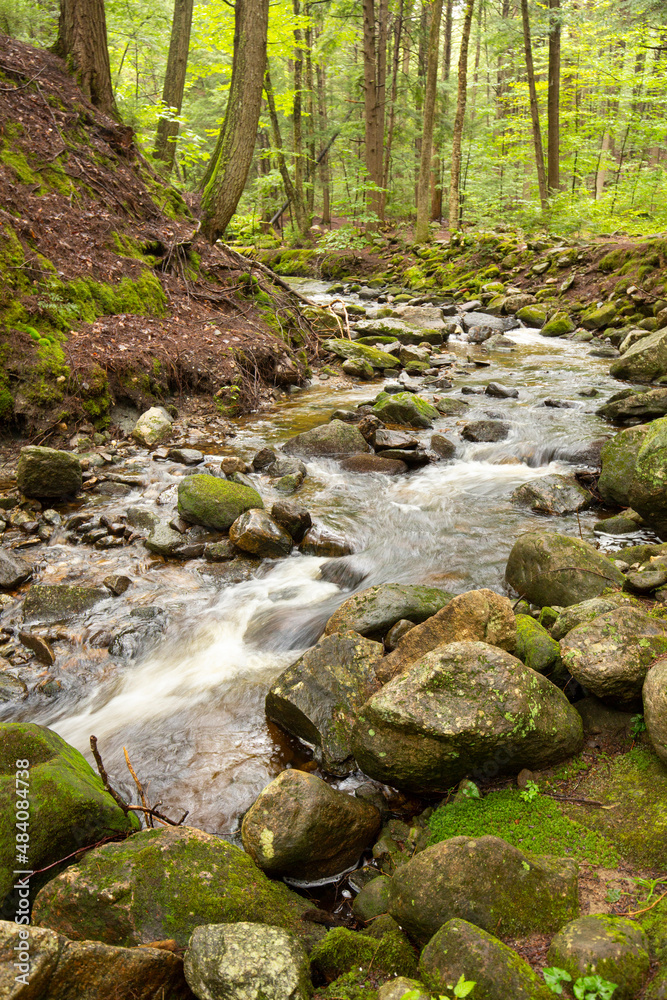 Kidder Brook flowing through dense woods in Sunapee, New Hampshire.