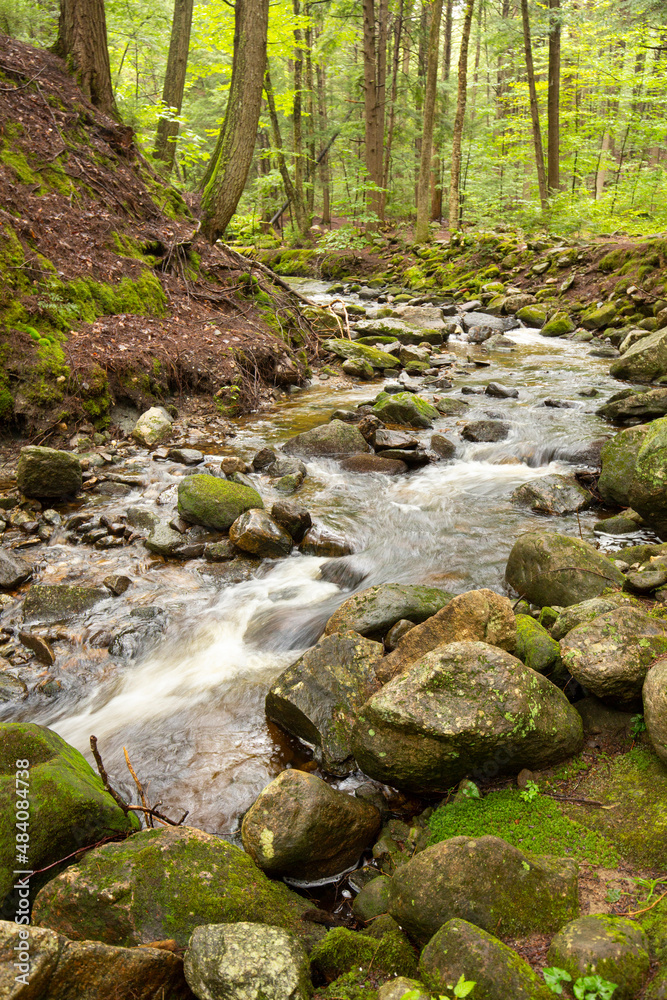 Kidder Brook flowing through dense woods in Sunapee, New Hampshire. Kidder Brook flowing through dense woods in Sunapee, New Hampshire.