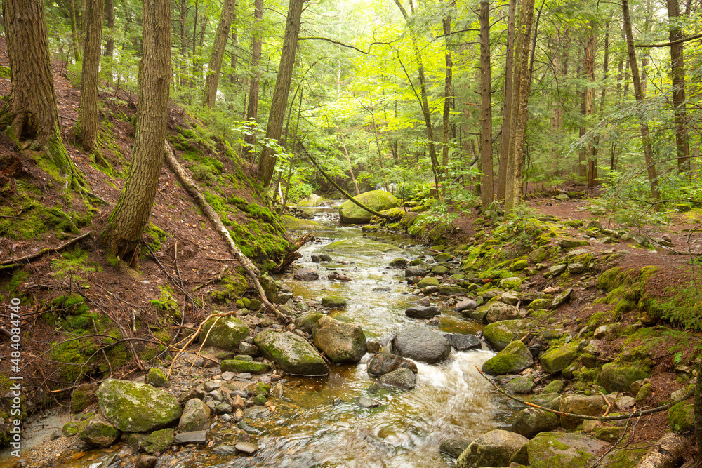 Kidder Brook flowing through dense woods in Sunapee, New Hampshire. Kidder Brook flowing through dense woods in Sunapee, New Hampshire.