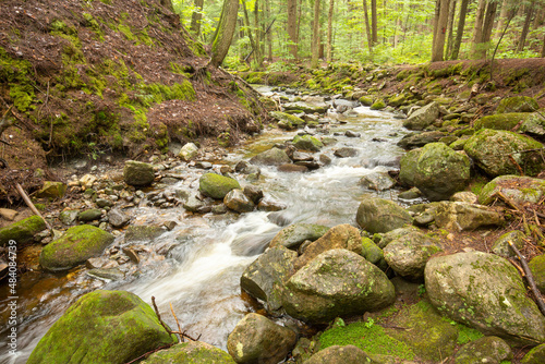 Kidder Brook flowing through dense woods in Sunapee  New Hampshire.