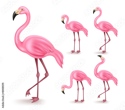Flamingo vector set design. 3d flamingos in standing and walking gesture isolated in white background for summer and tropical wildlife animal collection. Vector illustration. 