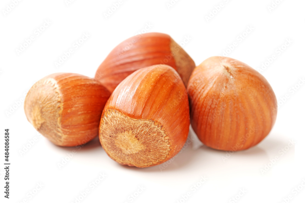 hazelnuts isolated on white background hazelnuts isolated on white background