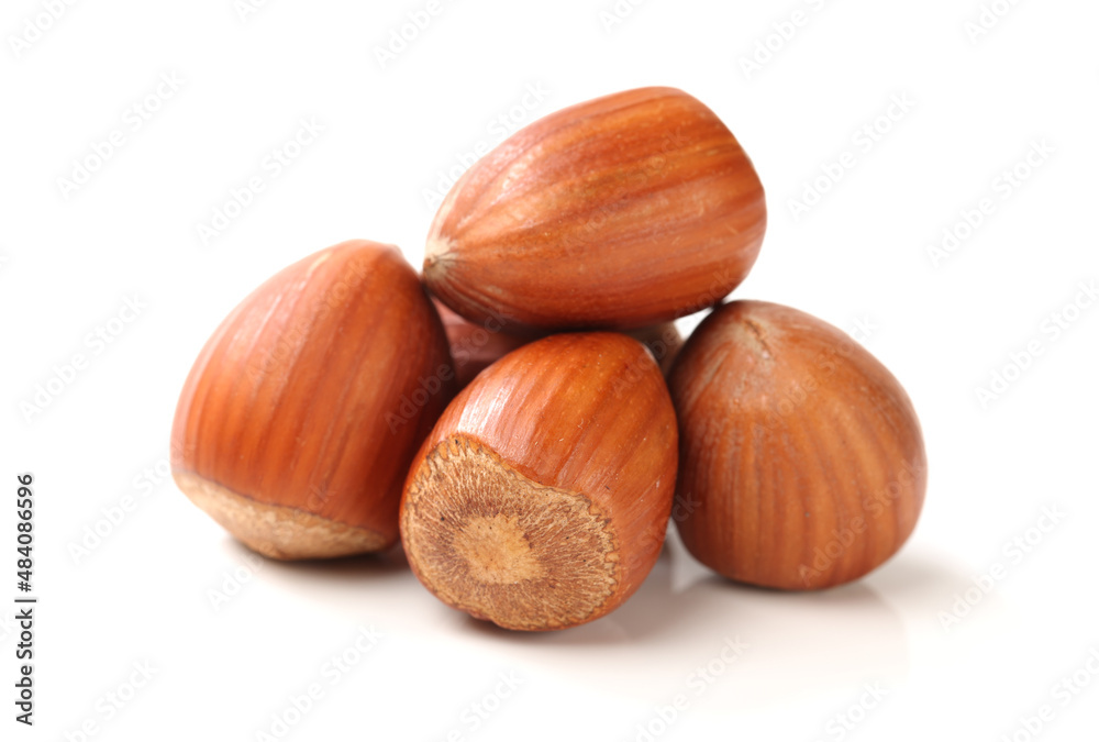 hazelnuts isolated on white background hazelnuts isolated on white background