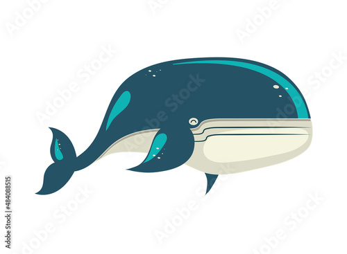 big whale sea life