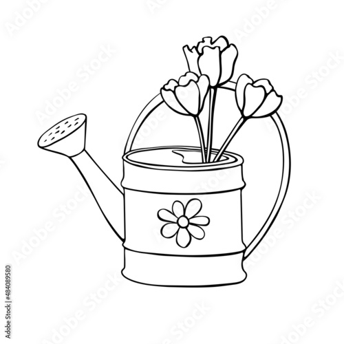 Vector outline watering can as vase with spring tulip flowers in hand drawn doodle style, isolated. Cute seasonal spring gardening floral illustration, clip art