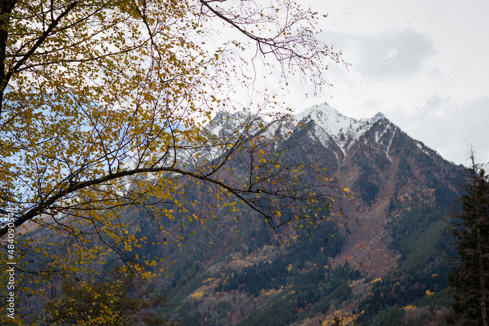 autumn in the mountains autumn in the mountains