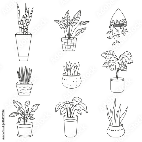 Set of house plants. Collection of potted plants outline in linear drawing style. Vector illustration isolated on white background
