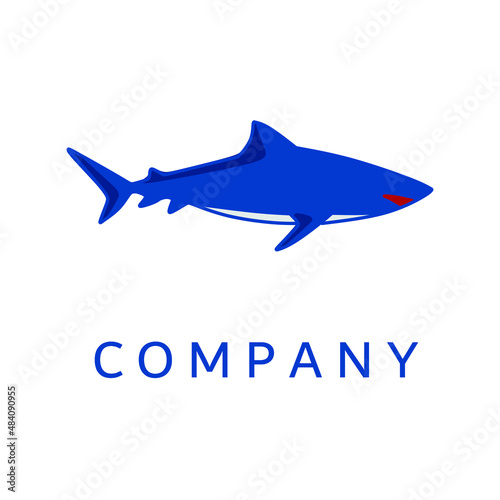 blue shark illustration