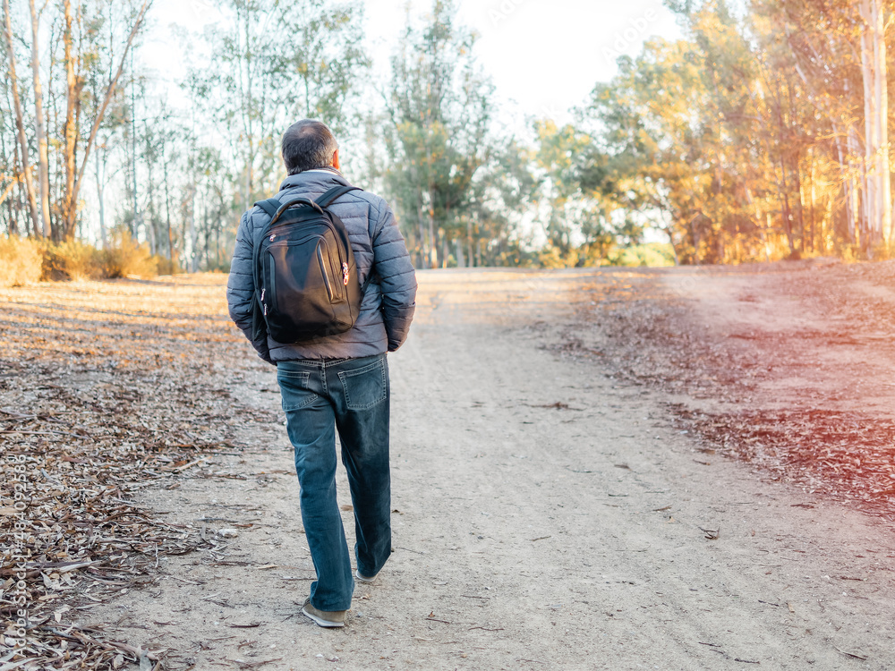 rear view of man with backpack hiking in forest rear view of man with backpack hiking in forest