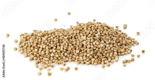 pile of raw unhulled Sorghum grains closeup on white background