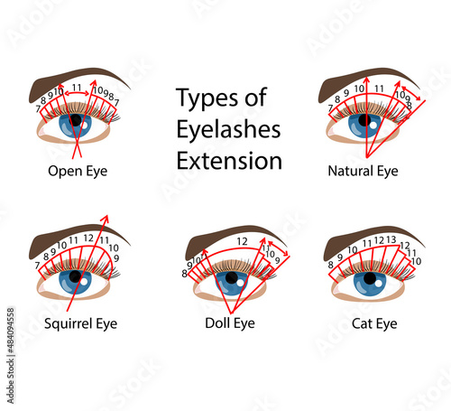 Eyelash Extension types and forms. For Beuty salons. Infographic