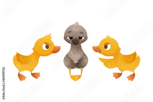 Goslings teasing duckling. Ugly duckling fairy tale cartoon vector illustration