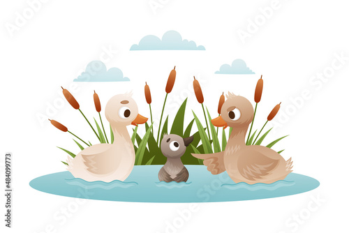 Geese swim in pond. Ugly duckling fairy tale cartoon vector illustration