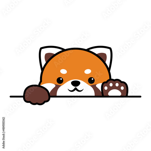 Cute red panda paws up over wall, Red panda face cartoon icon, Vector illustration