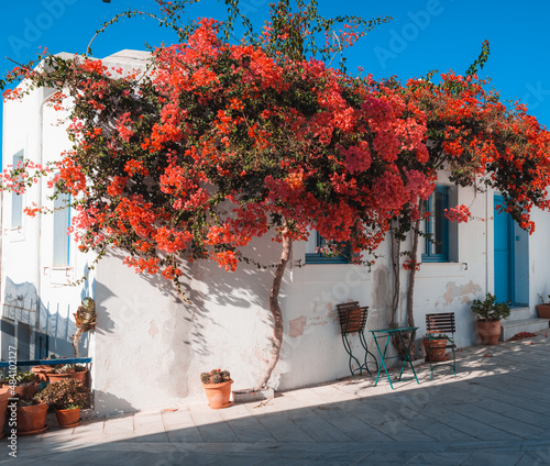 Fototapeta Naklejka Na Ścianę i Meble -  A closeup of Lefkes street in Paros island, Greece