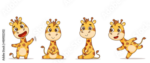 Set of giraffes in different poses, running, standing, sitting, waving. Vector illustration for designs, prints and patterns. Isolated on white background