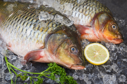 Carp fish, Fresh raw fish on ice for cooked food with parsley lemon and dark background, common carp freshwater fish market