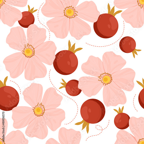 Wild Rose. Rosehip vector pattern. Pink flowers and fruits. Flat style.