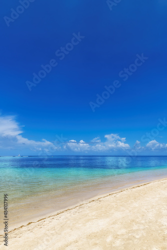 Tropical white sand beach, blue sky and the turquoise sea on Caribbean island. 