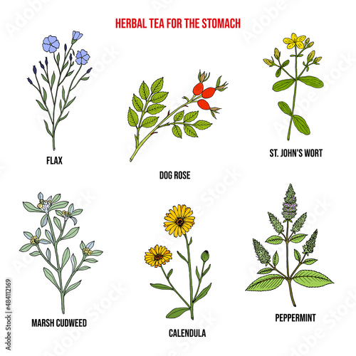 Herbal tea for stomach, set of medicinal plants