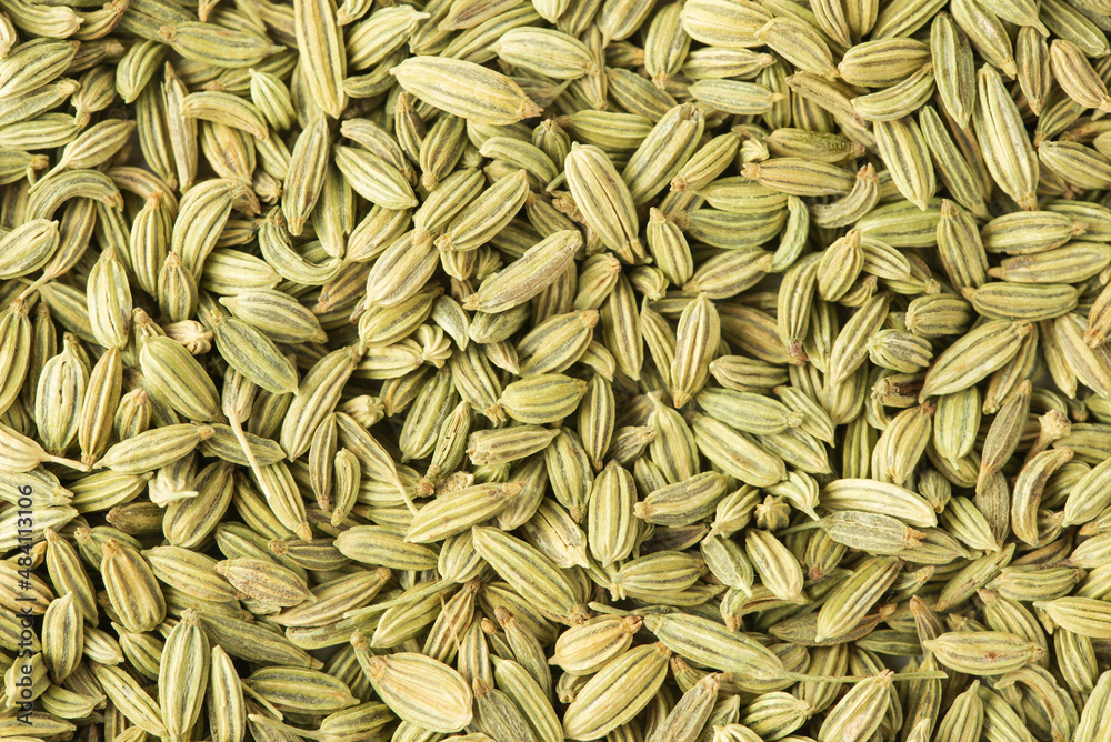 Texture of green fennel seeds as food background. Fennel is a traditional Indian aromatic seasoning and ingredient of Ayurvedic food