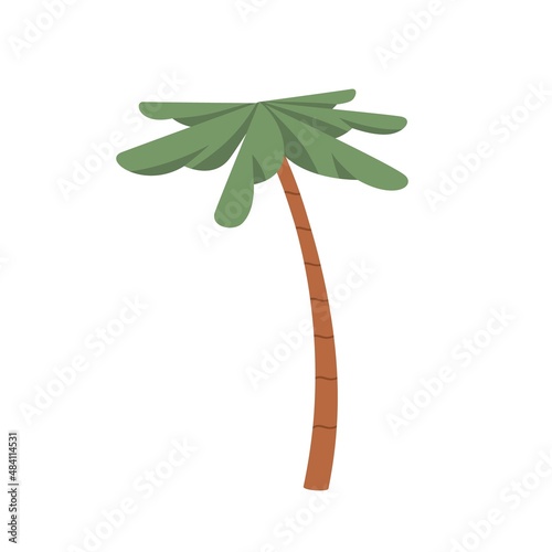 Palm tree with leaf and trunk. Exotic tropical summer plant with green leaves...
