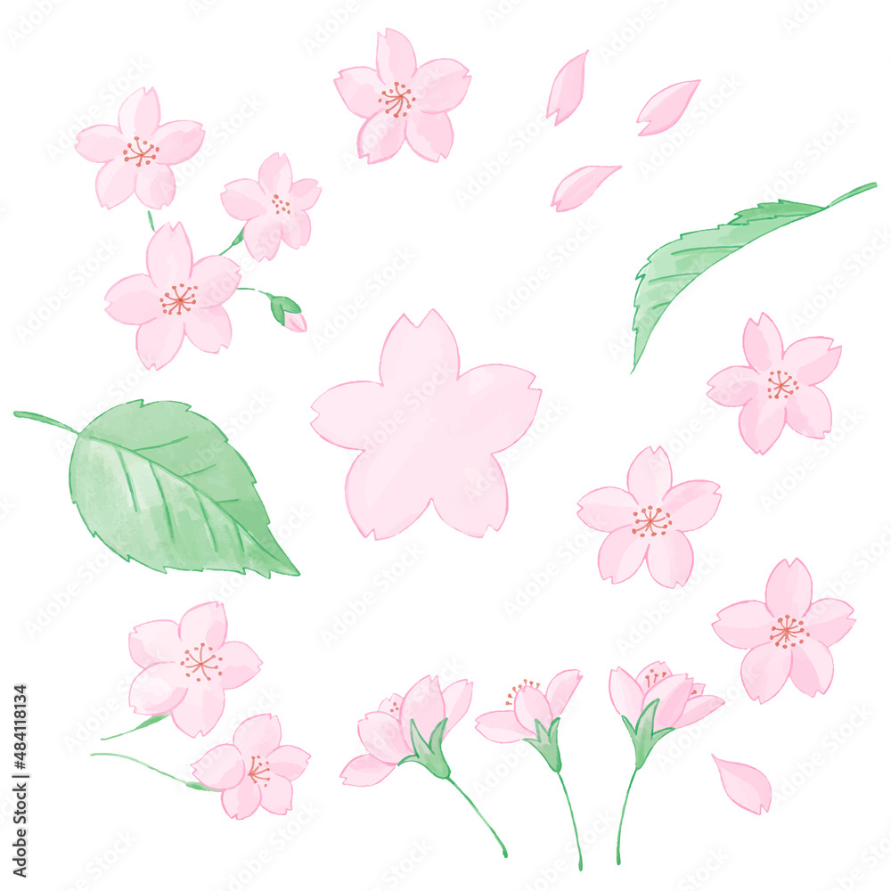 桜の花びらと葉っぱの手描き水彩風イラストのセット