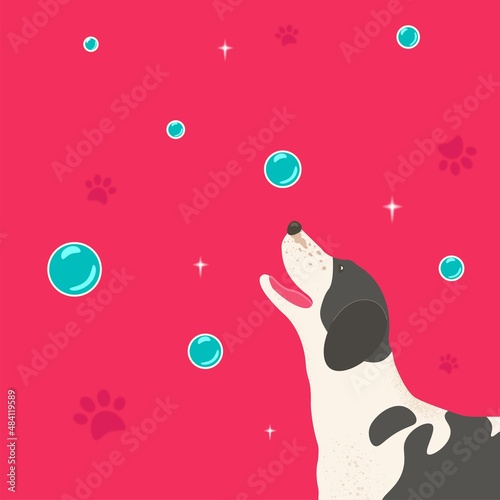 cartoon style of dog in soap foam and bubble
